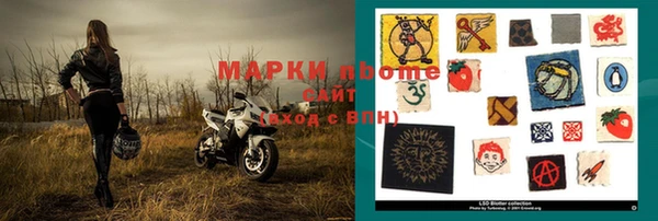 молекула духа Вяземский