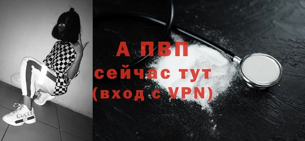 шишки Абаза