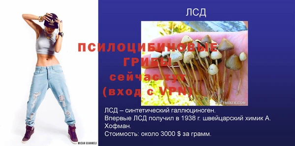 шишки Абаза