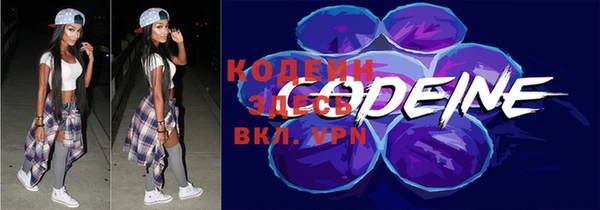 шишки Абаза