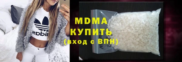 шишки Абаза
