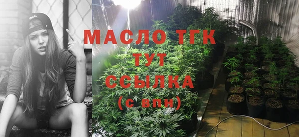 шишки Абаза
