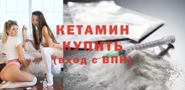 шишки Абаза