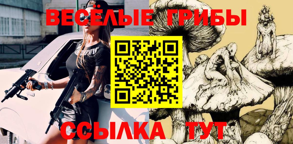 Карталы  Галлюциногенные грибы Cubensis  Вход с VPN  Псилоцибиновые грибы GOLDEN TEACHER 